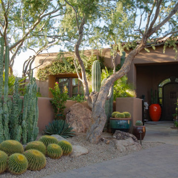 Desert Landscapes