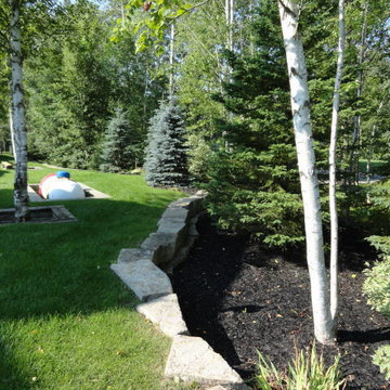 Transitional Backyard