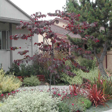 LINDA ESTRIN - BUTLER GARDEN