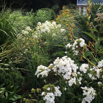 Side Yard Garden | Falls Church City VA