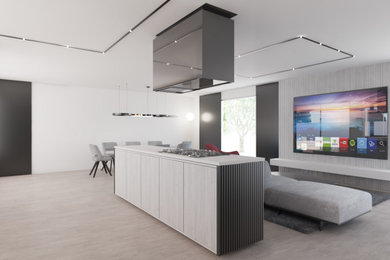 Open Concept Kitchens