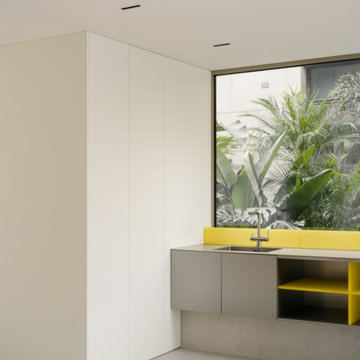 Panoramic Window