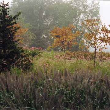 Hunterdon County Horse Farm