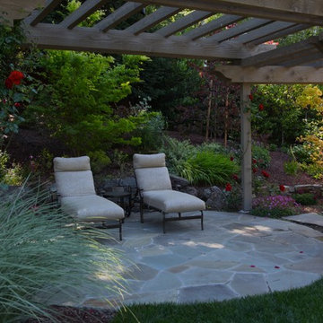 Beautiful pond, pool,pergola and garden