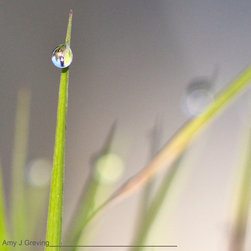 One Drop - Artwork