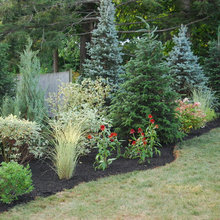 Fence line Landscaping