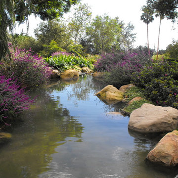 Santa Barbara pond