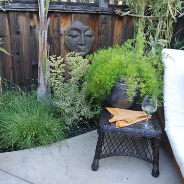 Los Gatos Courtyard Escape