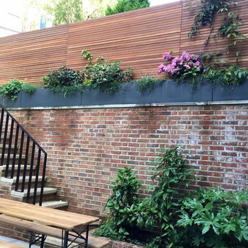 GREEN WALL BASEMENT GARDEN