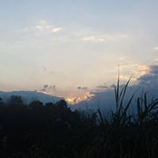 Photo de Michelle Eckert-Lawson
