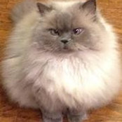 Christine Carter's photo
