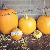 Renee Clark's photo