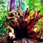 Conner Gallagher's photo