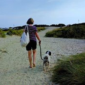 Sandra McKay's photo
