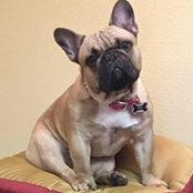 Scott Stormoen's photo