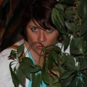 Maureen Hayes's photo