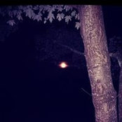 Diana Dunn's photo