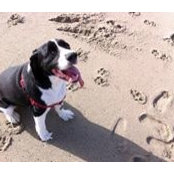 Ann Kvittum's photo