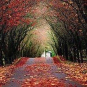 Colleen Mathis Morabito's photo