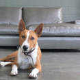 LeatherGroups.com's profile photo