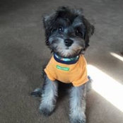 Melissa Vanderslice's photo