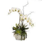 Jenny Silks - Real Touch Phalaenopsis Silk Orchids With Succulents in Stone Pot - Minimal can be both tranquil and sensuous. An incredibly versatile design, this artificial Phalaenopsis Orchid arrangement will dazzle in any modern decor as well as in sparkle in any traditional setting. The orchids grow out from a garden of Artificial Aeonium and Sedum Succulents anchored in a Stone Pot. Curly Willow accents dance playfully on the side, completing a simple yet elegant composition. Part of our Real Touch line, this product utilizes the latest liquid polymer technology to produce the most realistic and lifelike artificial plants available. Like the name suggests, come up close, touch them and you'll still be guessing if the flowers are real or artificial. Our Real Touch flowers are one of a kind, only using the highest quality silk flowers AND they are cleanable! Simply use a brush to wipe the dust off and a damp paper towel to remove any remaining debris.