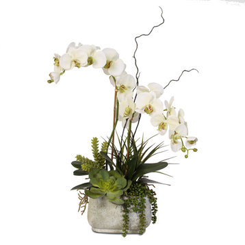 Real Touch Phalaenopsis Silk Orchids With Succulents in Stone Pot
