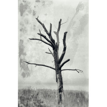 Rotting Away Alone Nature Photography, Botanical  Unframed Wall Art Print, 11" X 14"