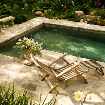Pond-Like Pool