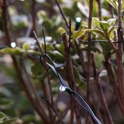Dacula, GA House and Backyard Project LED String Lights - Outdoor Rope And String Lights