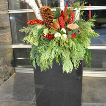 Outdoor Planters