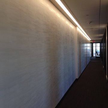 Venetian/Marmorino Plaster