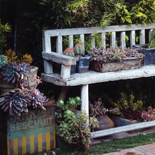 massimodo's ideas