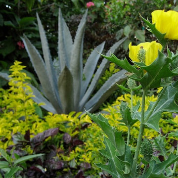 Miami Landscape Design Ideas