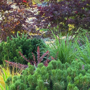 Penninsula Lawn Conversion to Modern Japanese