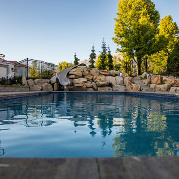 Stunning Backyard Pool