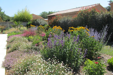 Mediterranean full sun garden in Marseille for summer.