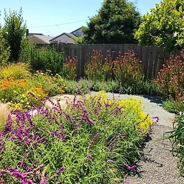 pea gravel walk to raised vegetable planters