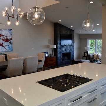 North Laguna Beach Ocean View Contemporary