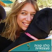 Yael Levy's photo