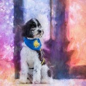Jerzy Baab's photo
