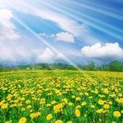 Mohamed Mourad's photo