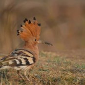 Bill Stark's photo