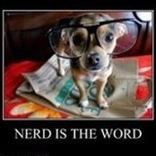 Royanne Baer's photo