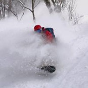 Leonardo Ferri's photo