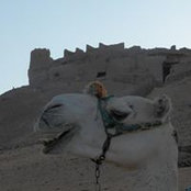 Nicolas Blanchet's photo