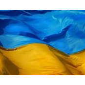 Julia Shaginurova's photo