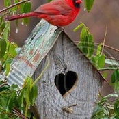 Barbara Coe's photo