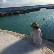 Melissa McCarey's photo