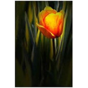 Nancy Whitcroft's photo